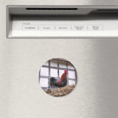 ROOSTER MAGNEET (Insitu (Vaatwasser))