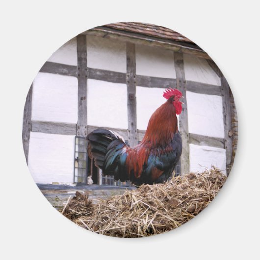 ROOSTER MAGNEET (Voorkant)