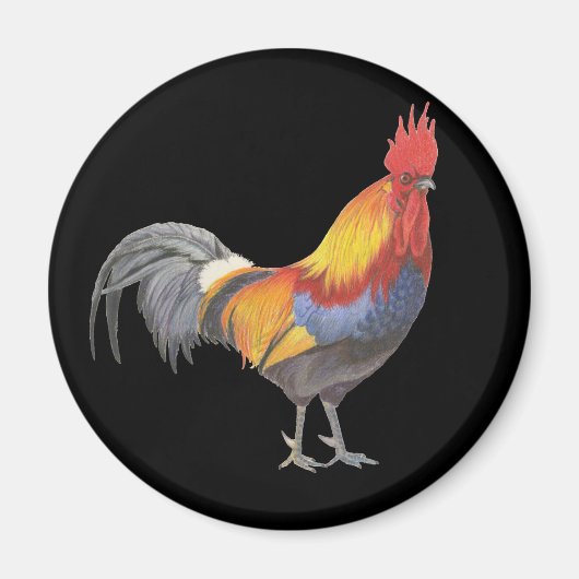 Rooster Magneet (Voorkant)