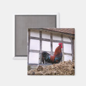 ROOSTER MAGNEET (Voorkant / Achterkant)