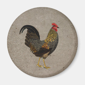 Rooster Magneet