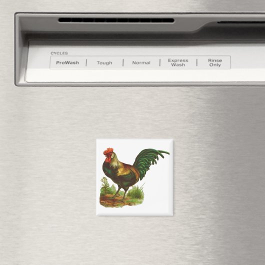 Rooster Magneet (Insitu (Vaatwasser))