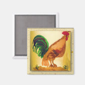 Rooster Magnet (Voorkant / Achterkant)