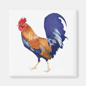 Rooster Magnet (Voorkant)