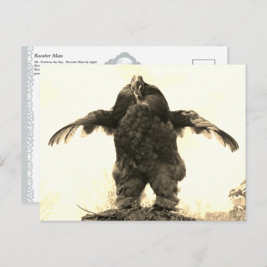 Rooster-Man - Briefkaart (Voorkant / Achterkant)