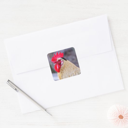 Rooster met Cockscomb Vierkante Sticker (Envelop)