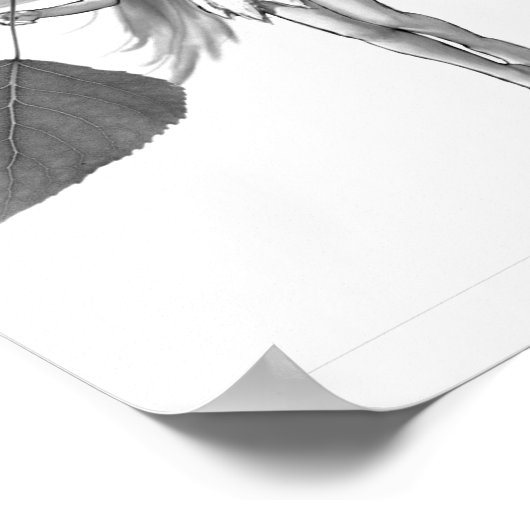 Rooster met glans en bladeren poster (Hoek)