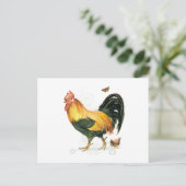 Rooster met kippen en kippen. briefkaart (Staand voorkant)