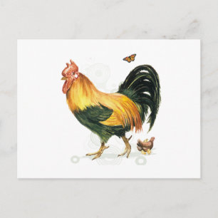 Rooster met kippen en kippen. briefkaart