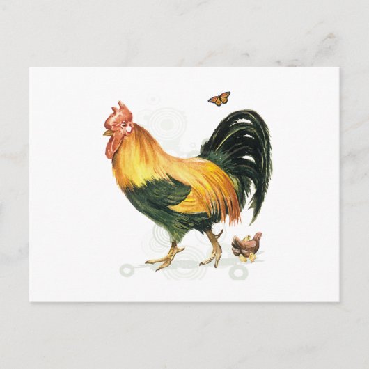 Rooster met kippen en kippen. briefkaart (Voorkant)