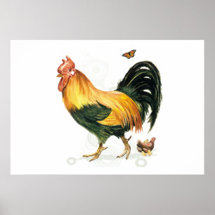 Rooster met kippen en kippen. poster