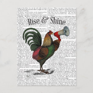 Rooster met Loudhailer 2 Briefkaart