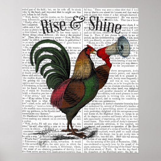 Rooster met Loudhailer Poster (Voorkant)