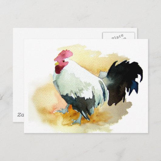 Rooster met standplaats briefkaart (Voorkant / Achterkant)