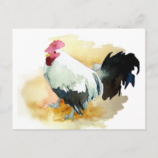 Rooster met standplaats briefkaart (Voorkant)