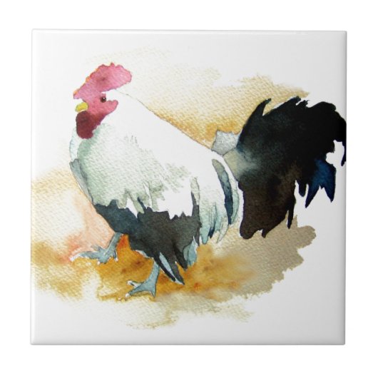 Rooster met standplaats tegeltje (Voorkant)