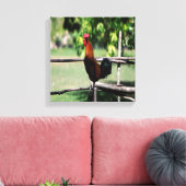 Rooster Morning Canvas Afdruk (Insitu (Woonkamer))