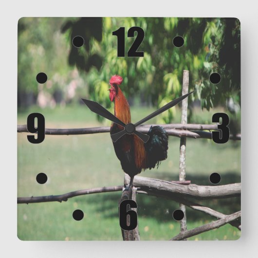 Rooster Morning Vierkante Klok (Voorkant)