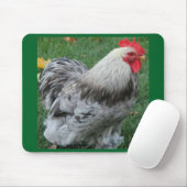 Rooster Mousepad Muismat (Met muis)