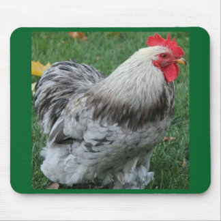 Rooster Mousepad Muismat