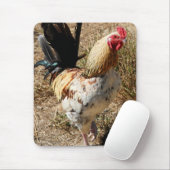 Rooster. Muismat (Met muis)