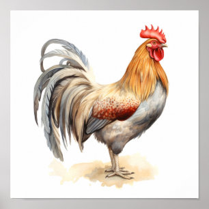 Rooster Neutral Kleuren Waterverf Schilderen Poster