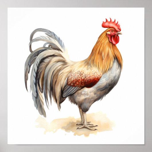 Rooster Neutral Kleuren Waterverf Schilderen Poster (Voorkant)