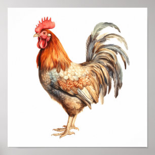 Rooster Neutral Kleuren Waterverf Schilderen Poster