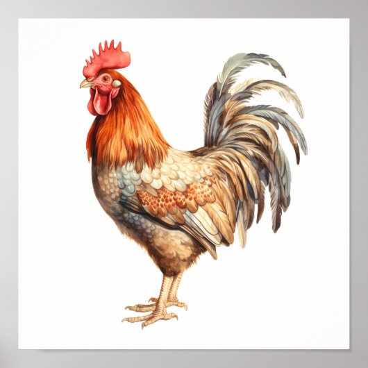 Rooster Neutral Kleuren Waterverf Schilderen Poster (Voorkant)