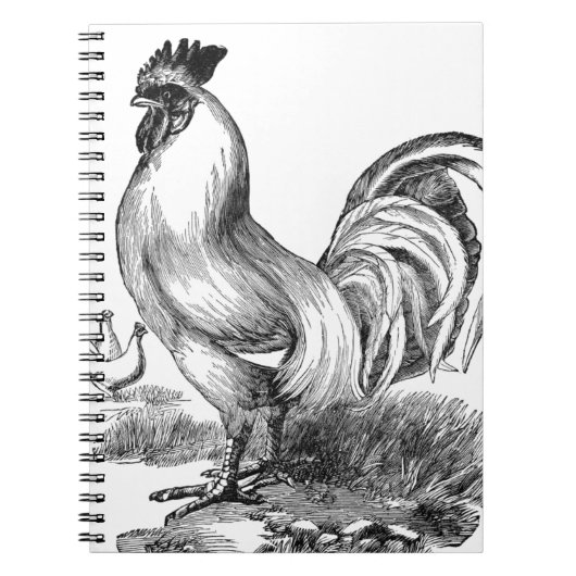 rooster notitieboek (Voorkant)