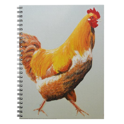 Rooster Notitieboek (Voorkant)