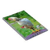 Rooster-Notitieboek Notitieboek (Rechterzijde)