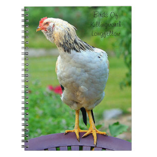 Rooster-Notitieboek Notitieboek