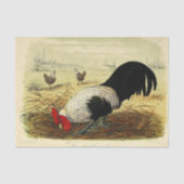  rooster of vaartuig tissuepapier (Voorkant)