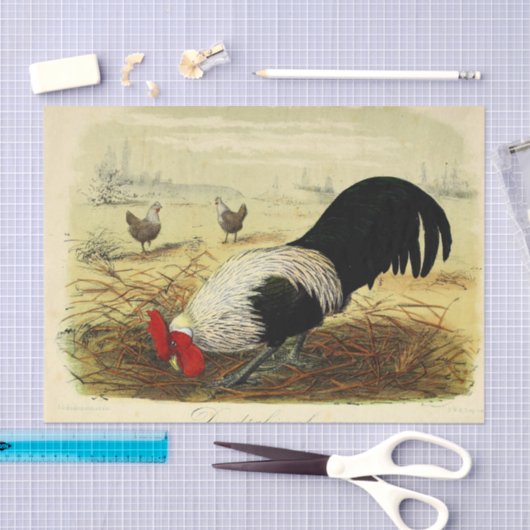  rooster of vaartuig tissuepapier (Craft)