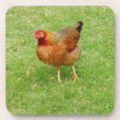 Rooster Onderzetter (Voorkant)