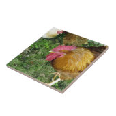 Rooster op de Prowl Tegeltje (Zijkant)