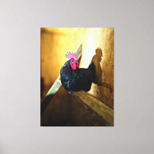 Rooster op een stok in schuur canvas afdruk (Voorkant)