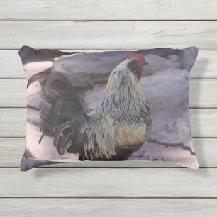 Rooster Pillow Buitenkussen