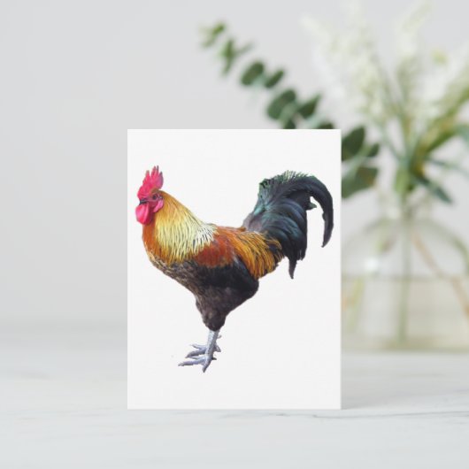 Rooster Plain Briefkaart (Staand voorkant)