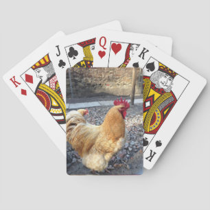 Rooster Pokerkaarten