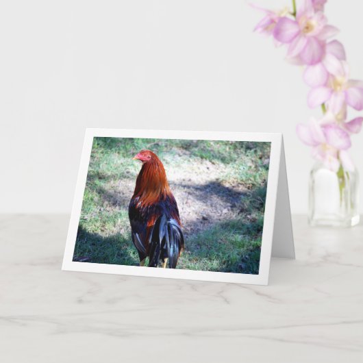Rooster Portrait Kaart (Orchidee)