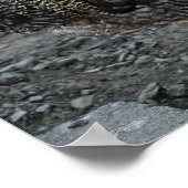 Rooster Portrait Poster (Hoek)