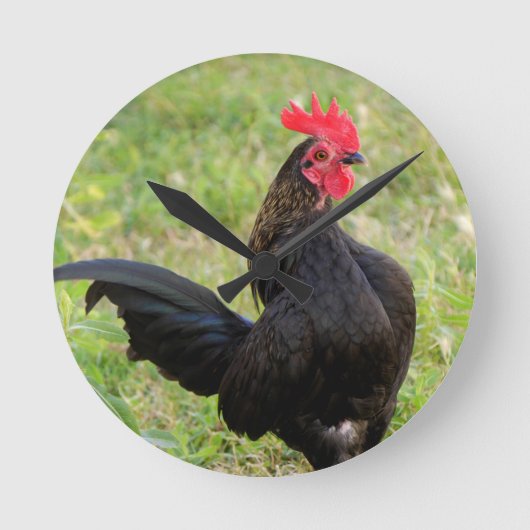 Rooster Portrait Ronde Klok (Voorkant)