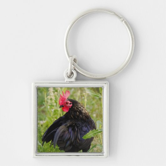 Rooster Portrait Sleutelhanger (Voorkant)