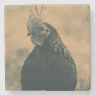 Rooster Portrait Stenen Onderzetter