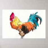 Rooster. Poster (Voorkant)