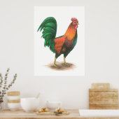 Rooster-Poster Poster (Keuken)