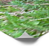 Rooster-Poster uitvoeren Poster (Hoek)