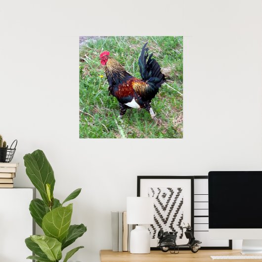 Rooster-Poster uitvoeren Poster (Thuiskantoor)